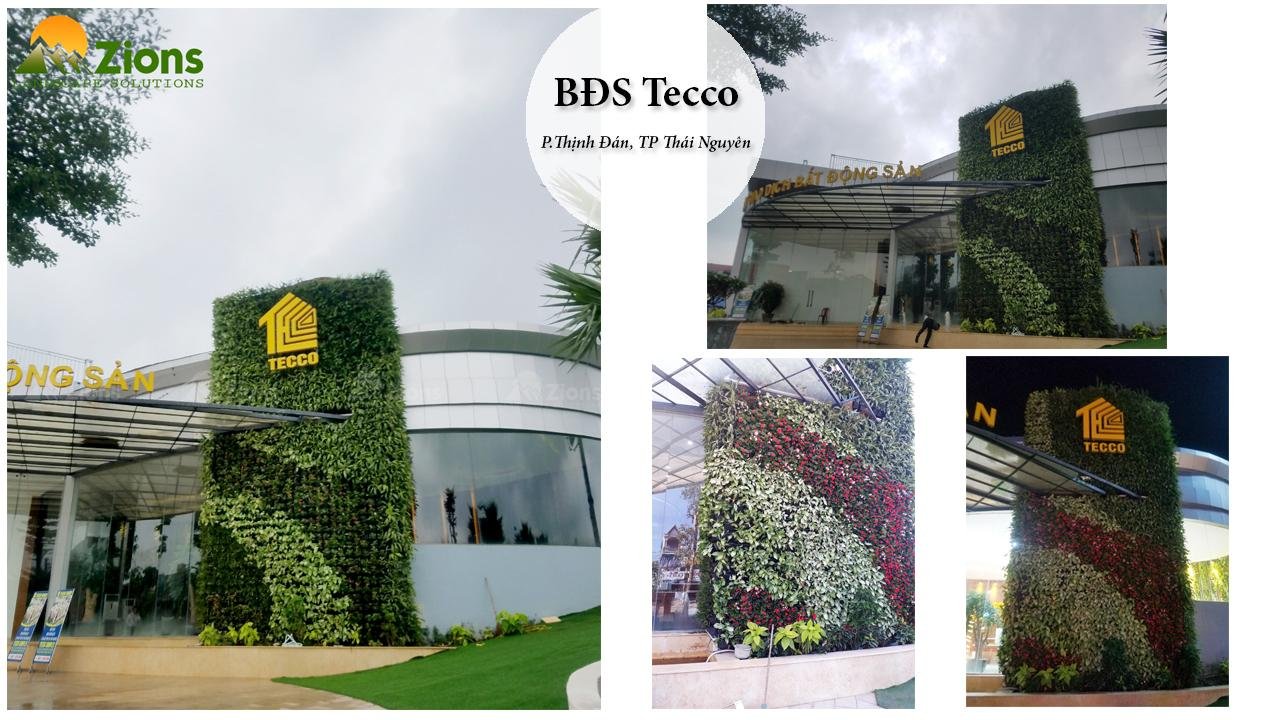 tường cây BDS Tecco